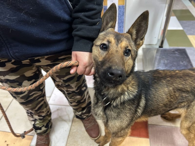 Jack LM Raus aus dem Heim rein ins Herz