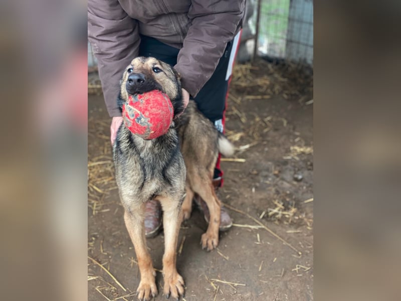 Jack LM Raus aus dem Heim rein ins Herz