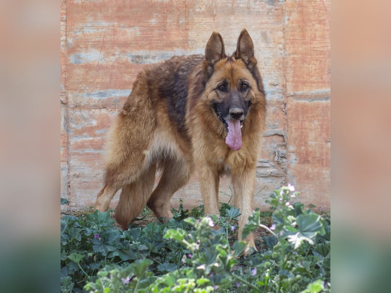 Herzensdame BLANCA wartet auf DICH