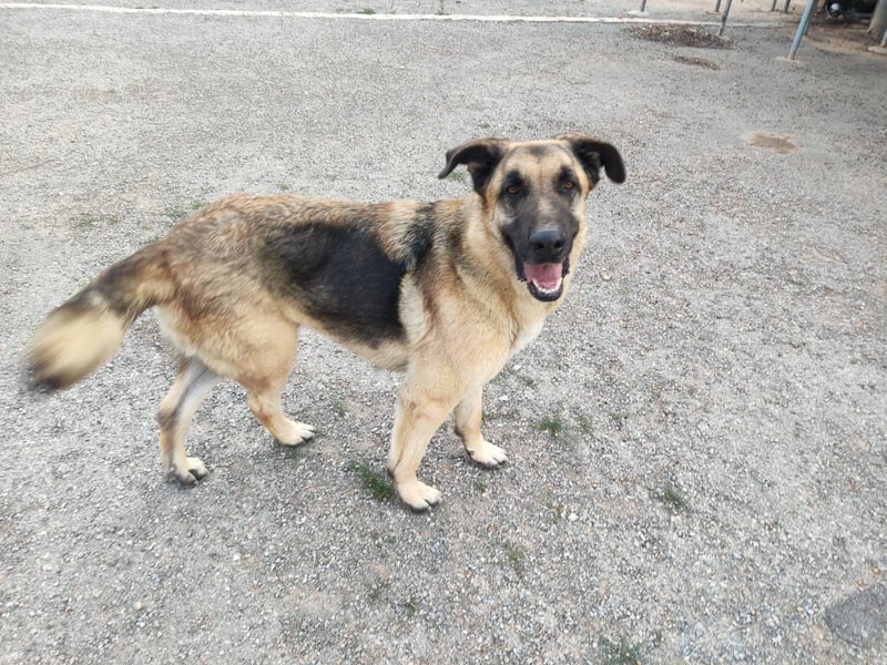 ❤️BRUNO❤️  NOTFALL