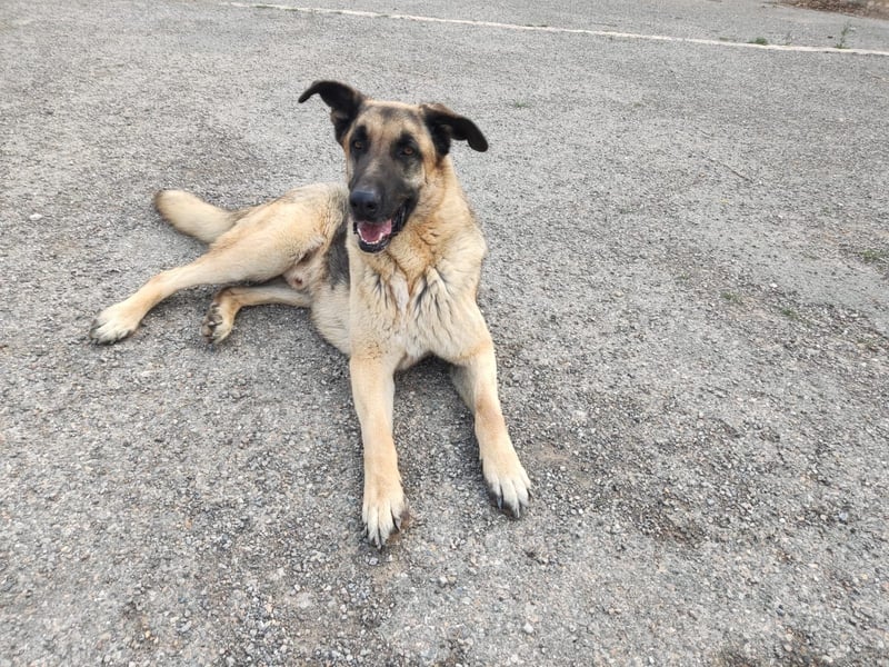 ❤️BRUNO❤️  NOTFALL