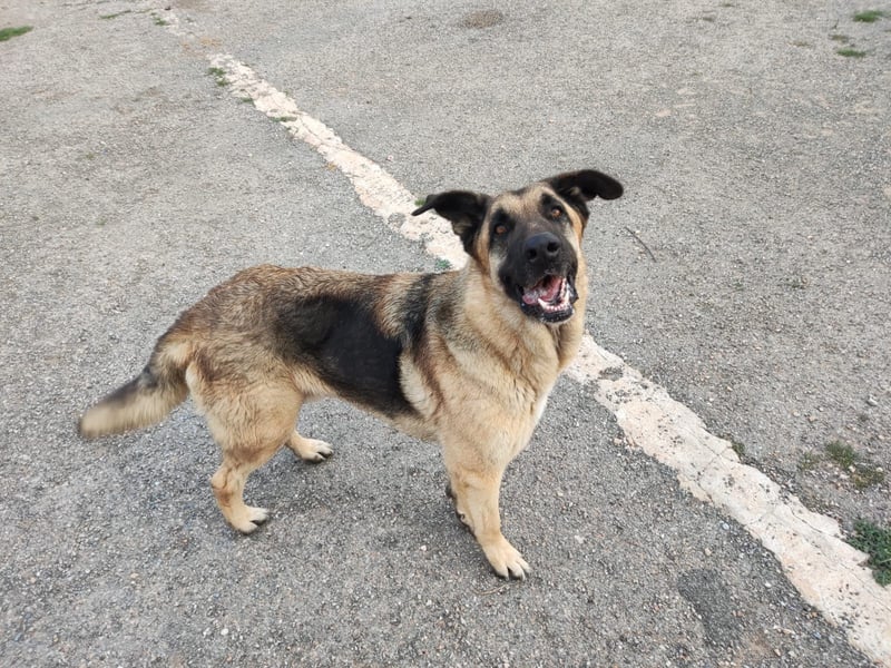 ❤️BRUNO❤️  NOTFALL