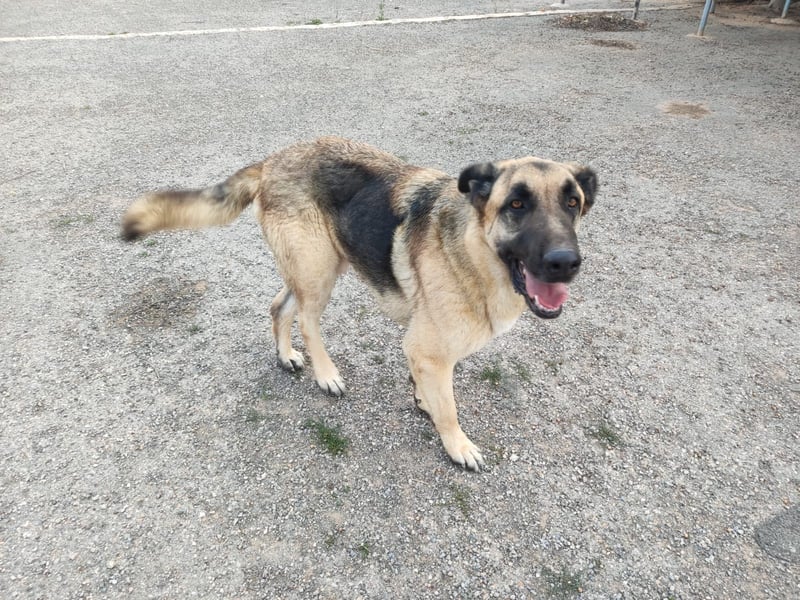 ❤️BRUNO❤️  NOTFALL