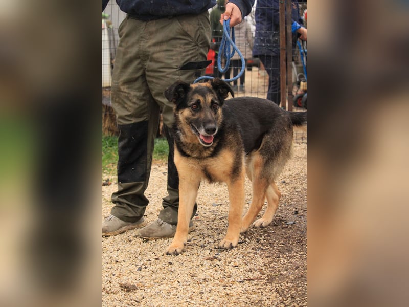 Roxana – gebrochene Seele sucht ihr Glück