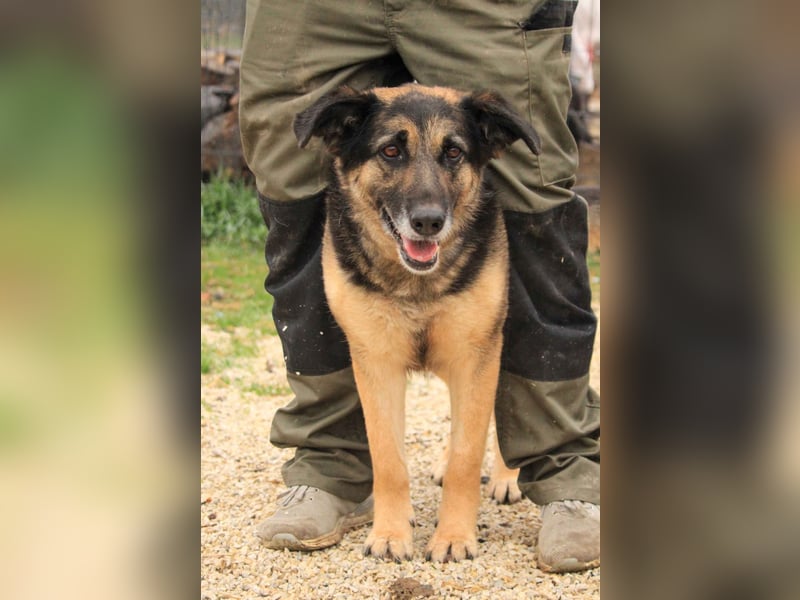 Roxana – gebrochene Seele sucht ihr Glück