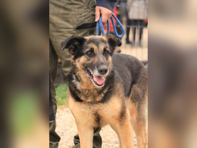 Roxana – gebrochene Seele sucht ihr Glück