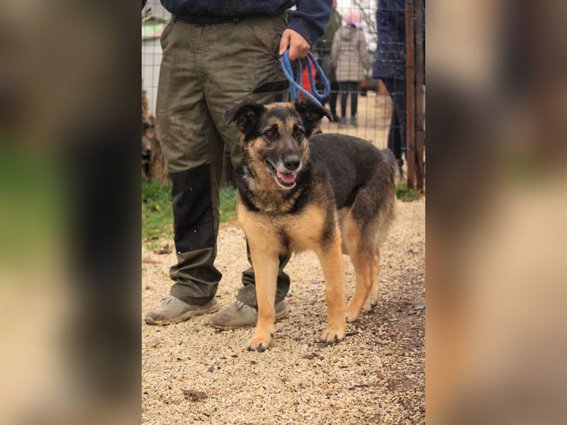 Roxana – gebrochene Seele sucht ihr Glück