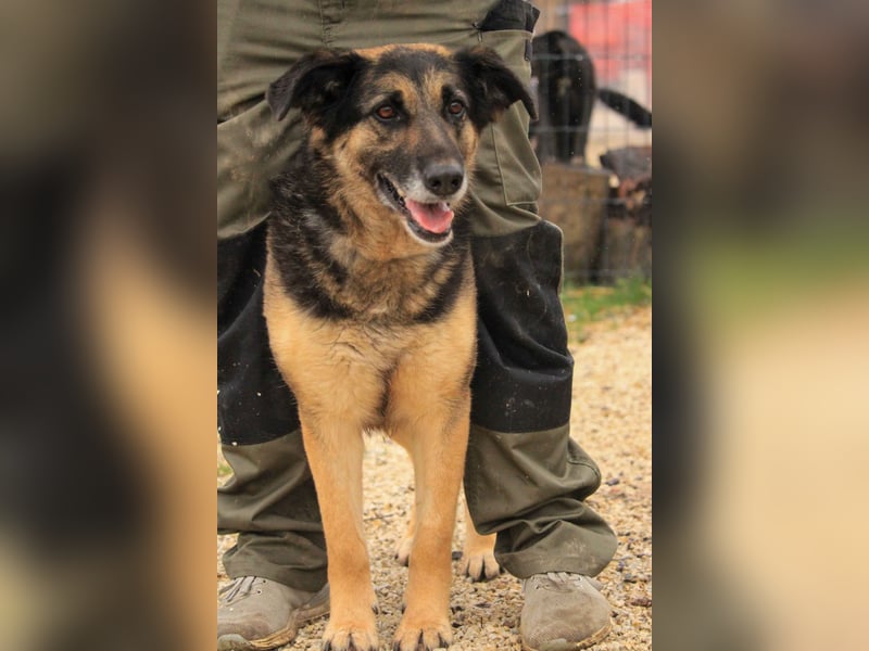 Roxana – gebrochene Seele sucht ihr Glück