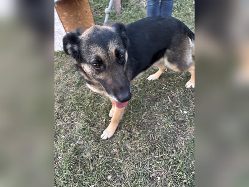 Roxana – gebrochene Seele sucht ihr Glück