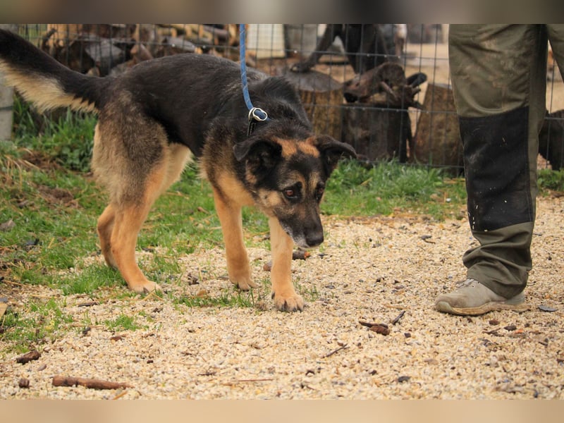 Roxana – gebrochene Seele sucht ihr Glück