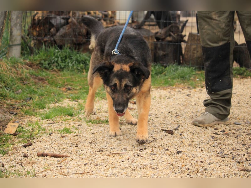 Roxana – gebrochene Seele sucht ihr Glück