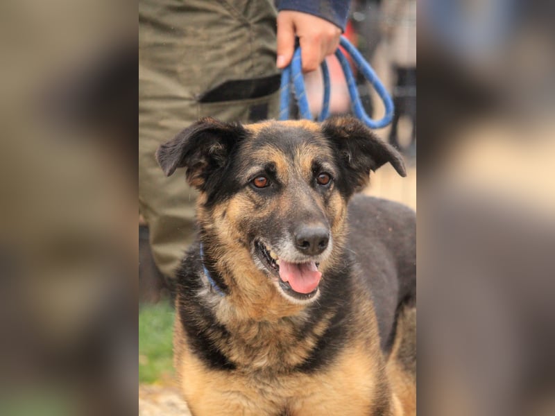 Roxana – gebrochene Seele sucht ihr Glück