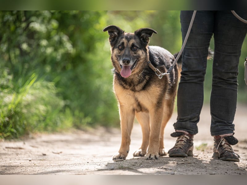 Roxana – gebrochene Seele sucht ihr Glück
