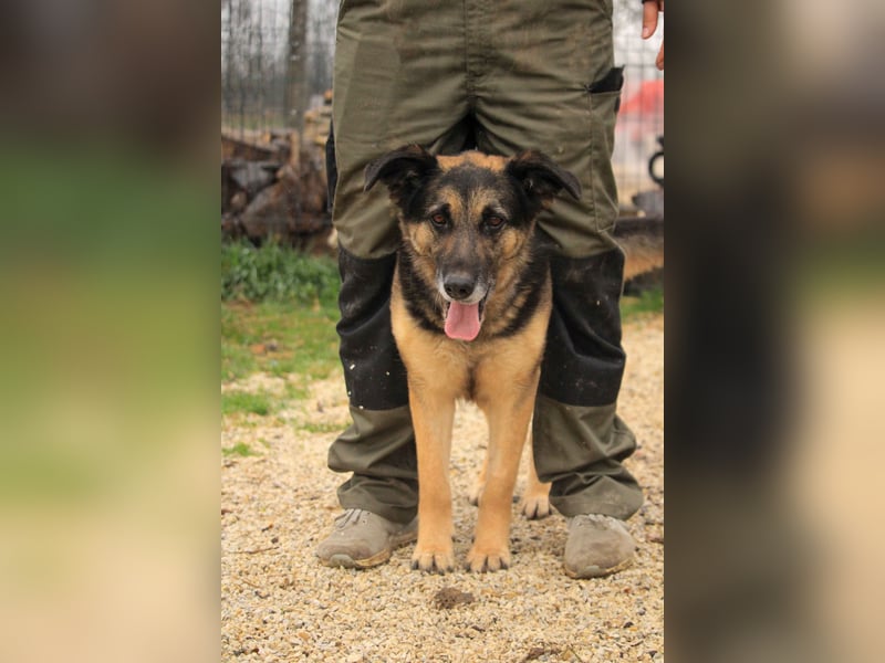 Roxana – gebrochene Seele sucht ihr Glück