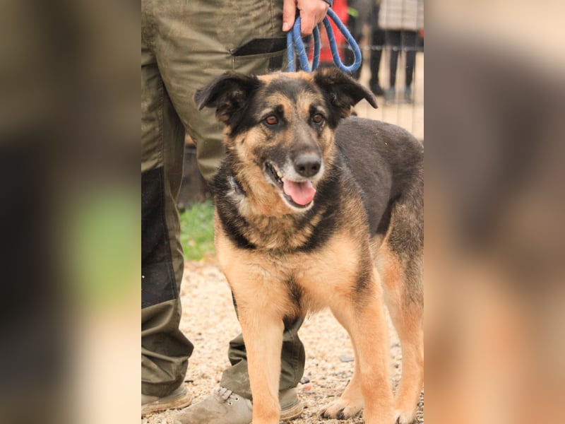 Roxana – gebrochene Seele sucht ihr Glück