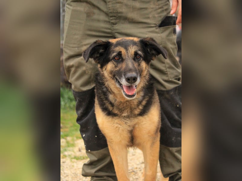 Roxana – gebrochene Seele sucht ihr Glück