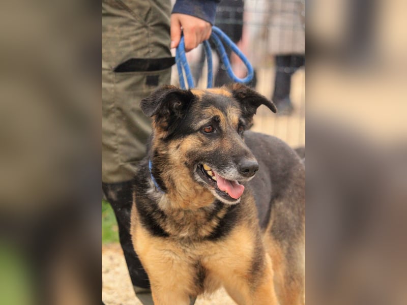 Roxana – gebrochene Seele sucht ihr Glück