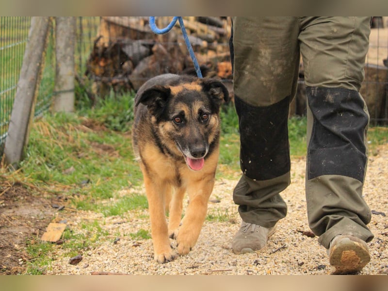 Roxana – gebrochene Seele sucht ihr Glück