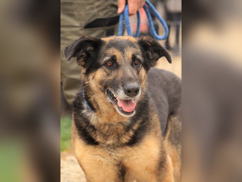 Roxana – gebrochene Seele sucht ihr Glück