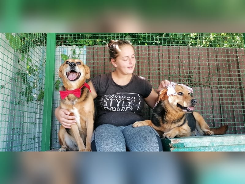 NOTFALL Floki - Glück im Doppelpack