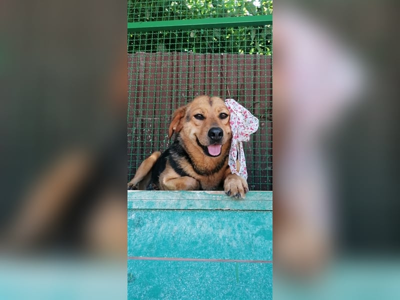 NOTFALL Floki - Glück im Doppelpack