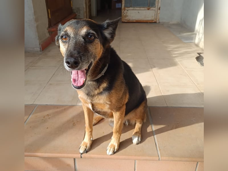Fortunato