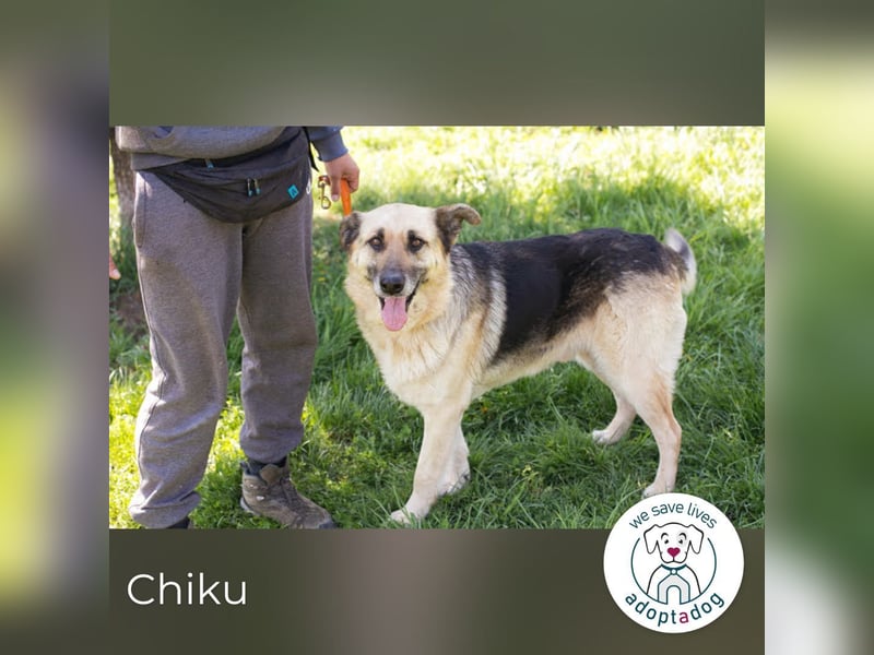 Chiku: Entspannt, entspannter, Chiku!