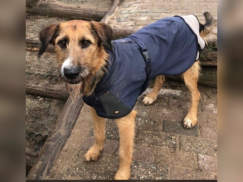 Winston wartet auf seine zweite Chance