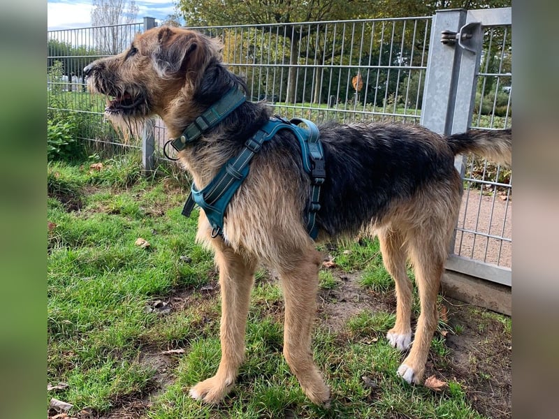Winston wartet auf seine zweite Chance