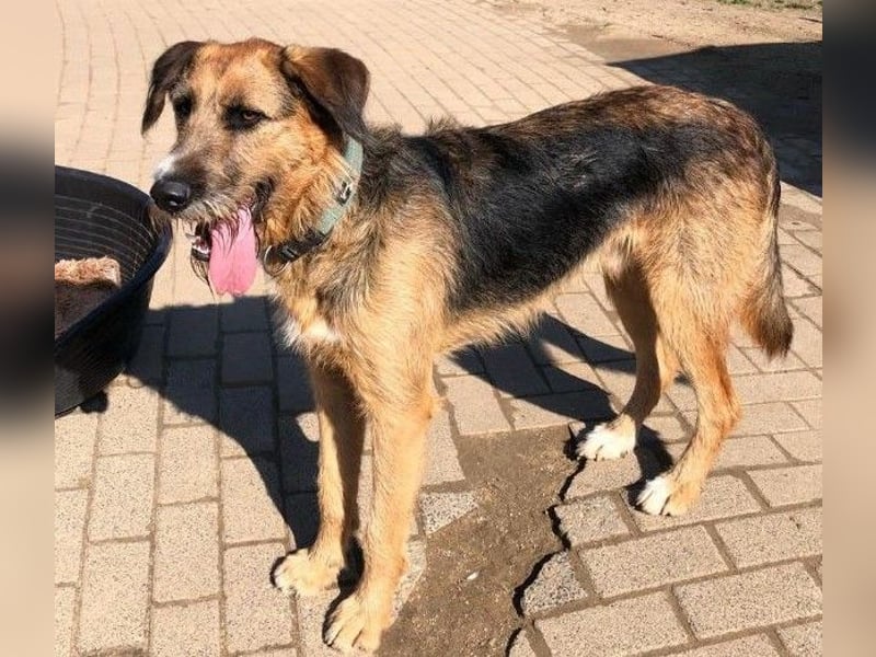 Winston wartet auf seine zweite Chance