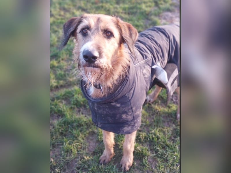 Winston wartet auf seine zweite Chance