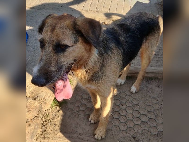 Winston wartet auf seine zweite Chance
