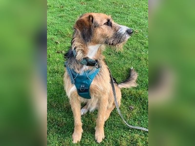 Winston wartet auf seine zweite Chance