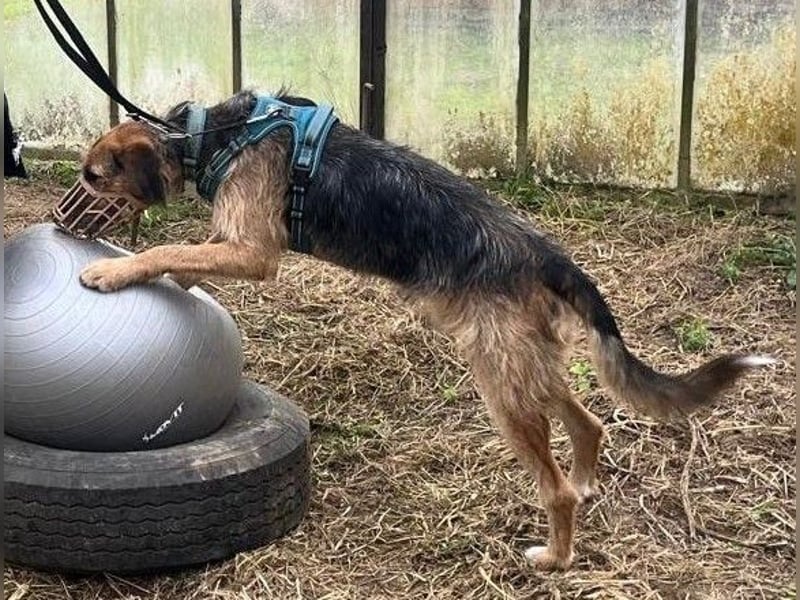 Winston wartet auf seine zweite Chance