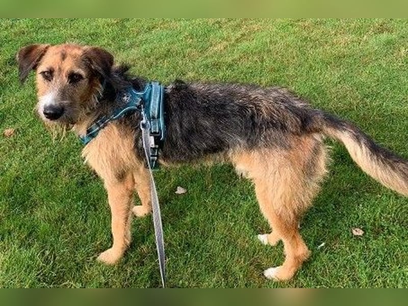 Winston wartet auf seine zweite Chance