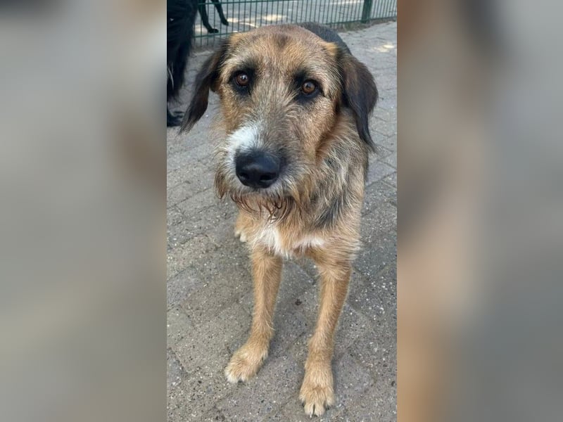 Winston wartet auf seine zweite Chance