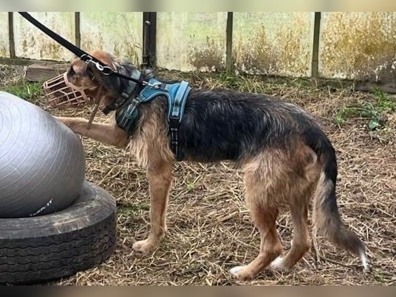 Winston wartet auf seine zweite Chance
