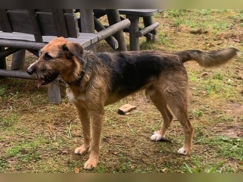 Winston wartet auf seine zweite Chance