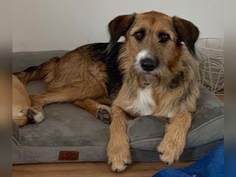 Winston wartet auf seine zweite Chance