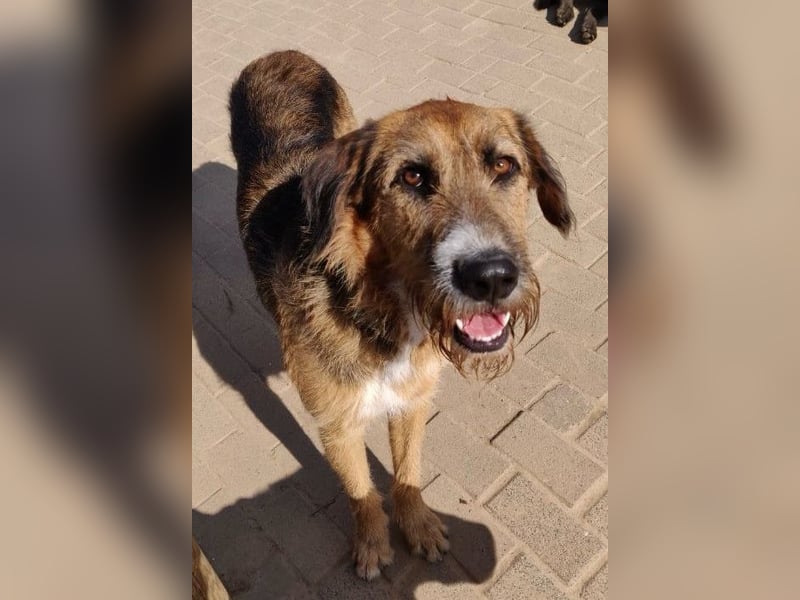 Winston wartet auf seine zweite Chance