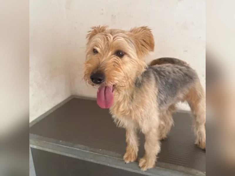 Pixel