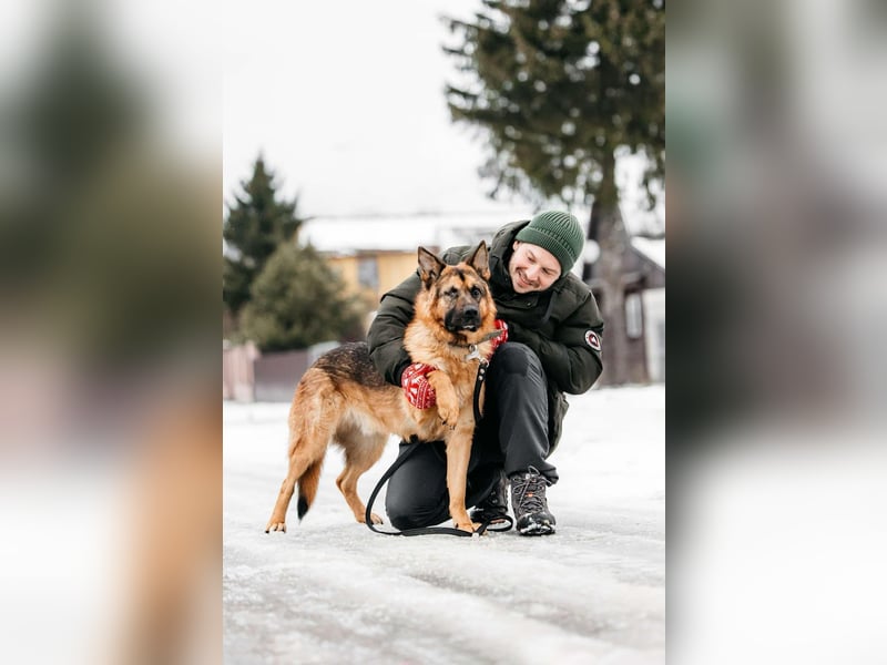 Freundlicher Muchtar sucht seine Familie