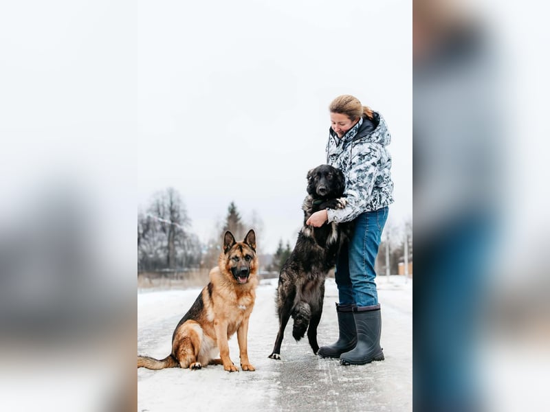 Freundlicher Muchtar sucht sein Zuhause