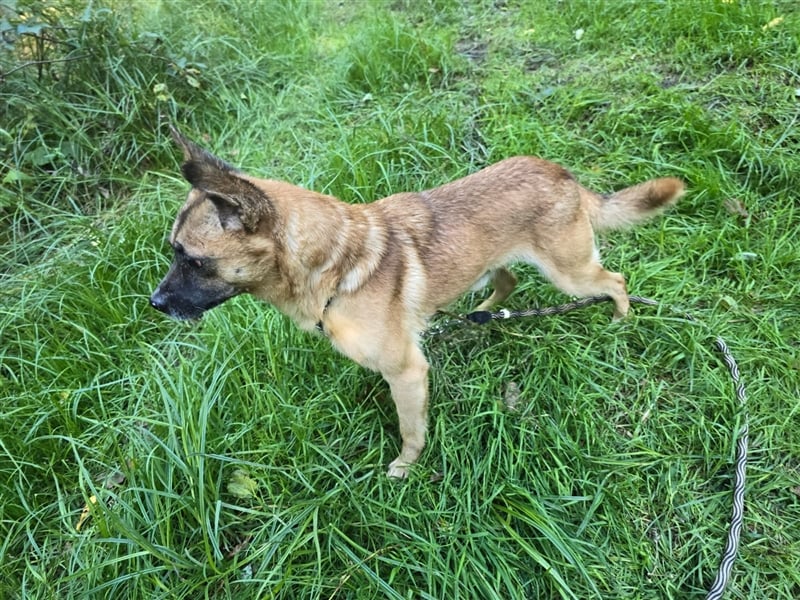 Kleiner Marlo