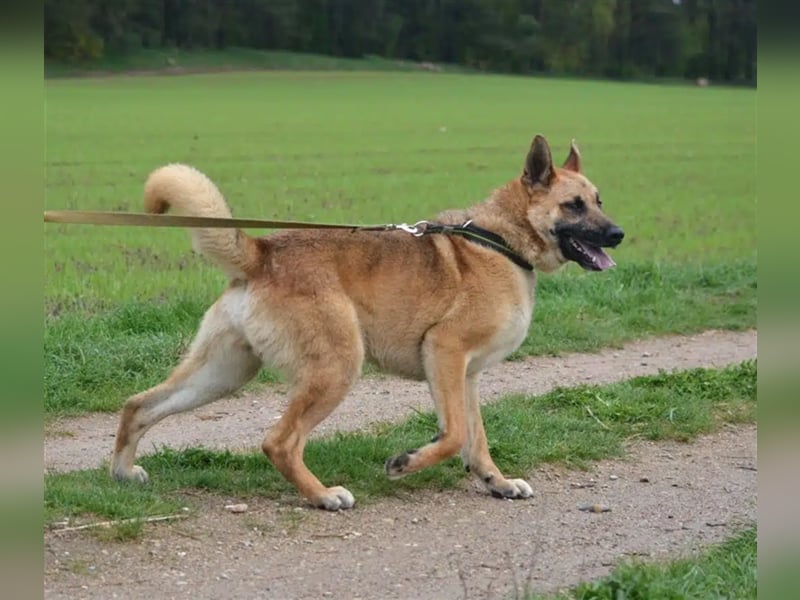 „Werner“, immer gut gelaunt und voller Lebensfreude! Ca. 2020 geboren.