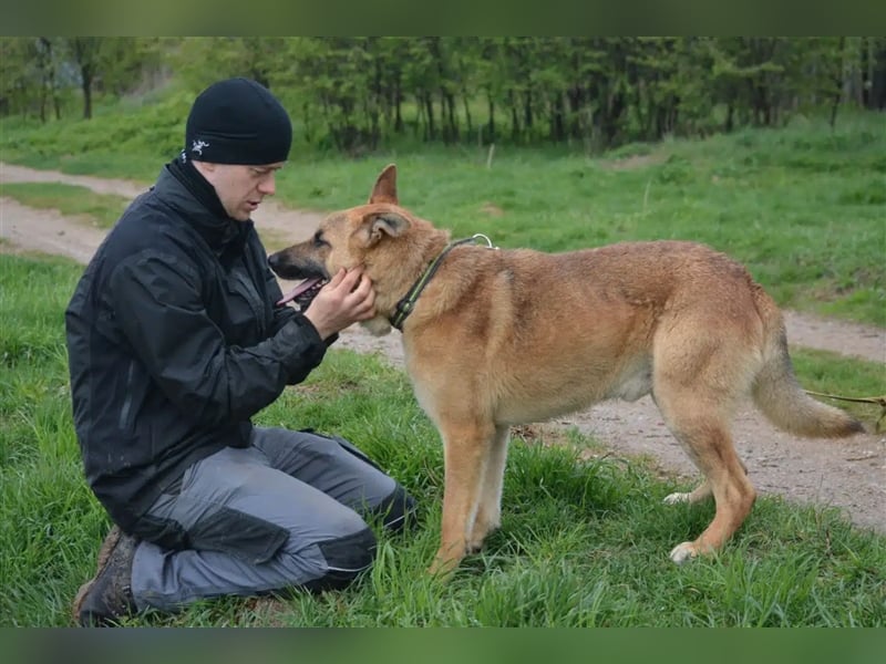 „Werner“, immer gut gelaunt und voller Lebensfreude! Ca. 2020 geboren.
