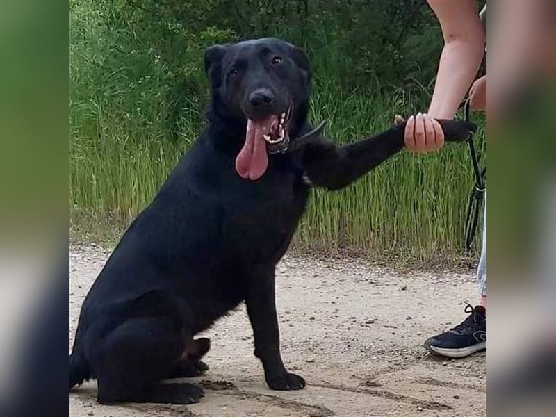 Cody-VA charmanter Mann möchte Küsschen geben