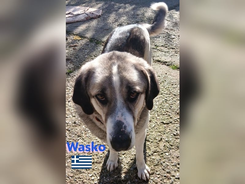 Wasko, 12/22 - Neugierig auf das Leben