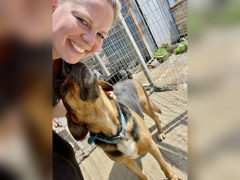 Junger Mischlingsrüde MARLEY (3 Jahre) sucht eine Familie