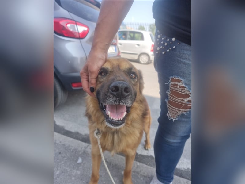 Axel